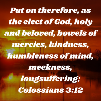 EF5D2C0C-EE76-4320-9444-8BBEDE9CDBAE.png