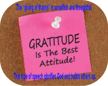 Graditude_BEST_attitude-overlay-2.png