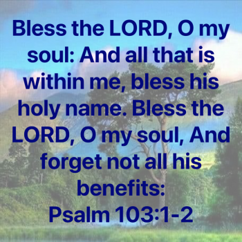 C82D7B95-E716-4635-8DAE-74030BFA527A.png