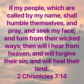 99D37602-3E7D-442F-8DC6-FB4BF8308713.png