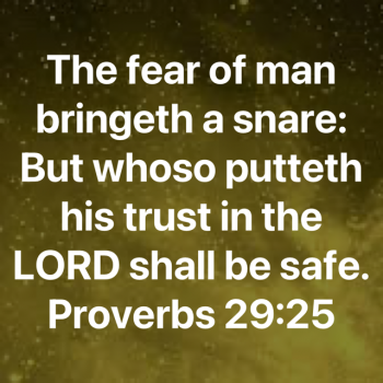 D38B805E-4DAD-484E-917A-D721E471FD16.png