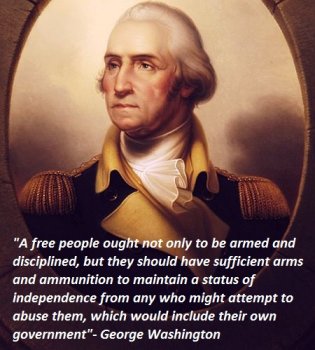 gun-aa-Washington-free-people-armed.jpg