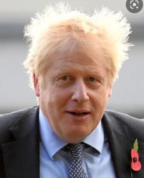 Boris-hair.jpg