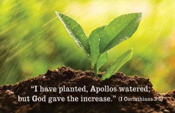 plant_water_INCREASE.png