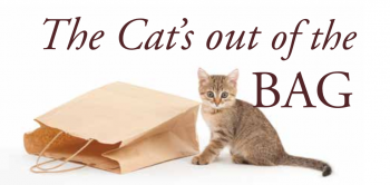cats OUT BAG.png cats OUT BAG.png