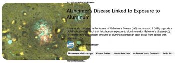 Alum-alzh.jpg