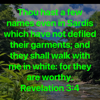 F9FA9836-27F3-41EB-9382-DE954523F896.png