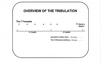 The 2 Witnesses Diagram..jpg