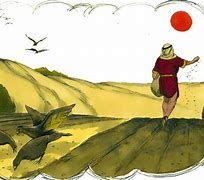 1. Sower..jpg 1. Sower..jpg