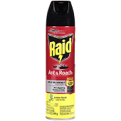 raid.png