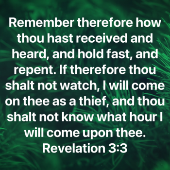 8EB36CFE-69E9-48B0-B53C-5794F661479F.png