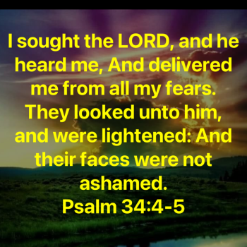 0142DA27-4F10-4139-9385-0EB66206EBF3.png
