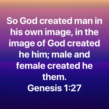 07E9F78D-CE7C-45D3-A3C4-72B5713DAF47.png