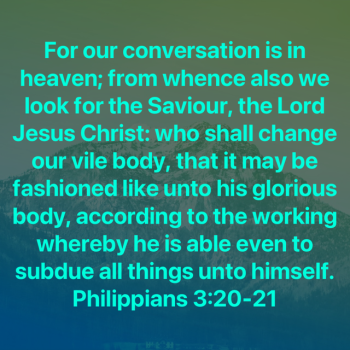 BE2DBB8B-4865-4CC5-A241-691E552E640E.png