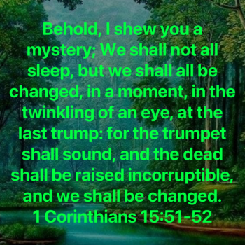 5C9444DE-977A-409A-80D3-25D68587CBCA.png