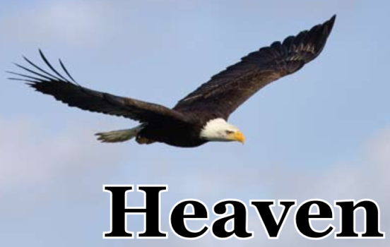 1671551334819.png 1671551334819.png