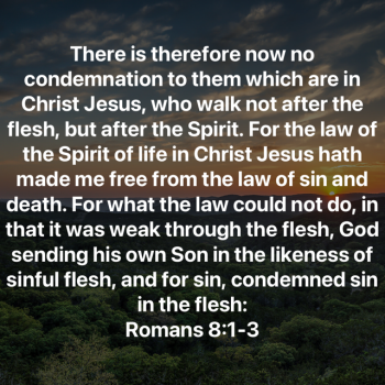 078009ED-5D57-4A44-B61C-242BC5F3E4BF.png