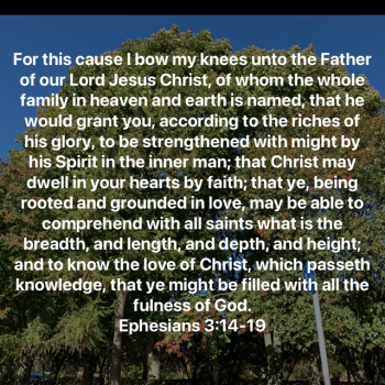 AA881065-AA8F-42E7-AB89-F09CF1C14DCF.png