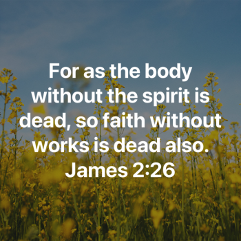 0A38AE66-545F-43EA-8581-E5C005ADF61C.png