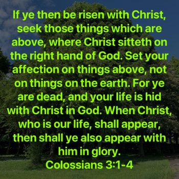 56A98CB0-D8B8-4523-9BCA-E571BFD6F842.png