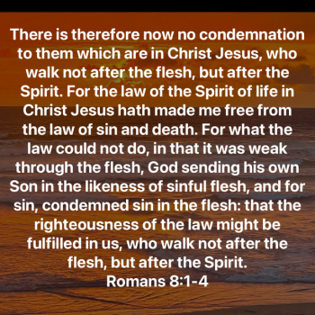 1D8575A9-9613-4F4A-ACF8-B9EAB13ABE55.png