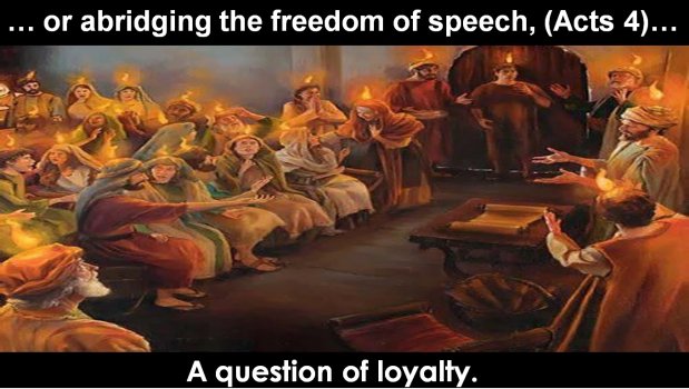 1st Amendment 03 - Freedom Of Speech.jpg