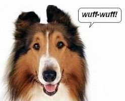 lassie.jpg