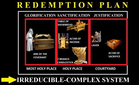 Bible - Sanctuary - Irreducibly Complex System.jpg