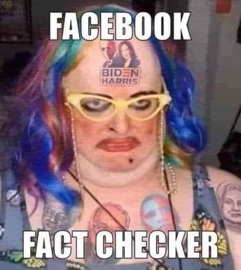 Facebook Fact Checker.jpeg
