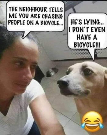 1676153560275.jpeg