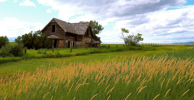 Alberta.jpg