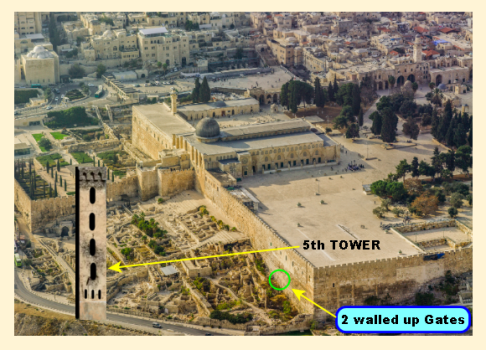 1. 5th TOWER- STABLE LEGION CAVALRY-3.png