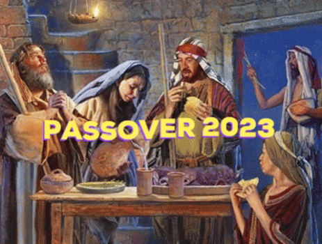 passover 2023 ani.gif