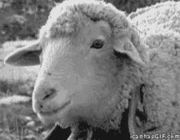 1681246415229.gif