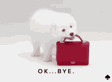 received_916701792757489.gif