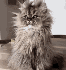 tenor_gif617686653483314231.gif1685992866327_7071566623207628197.gif