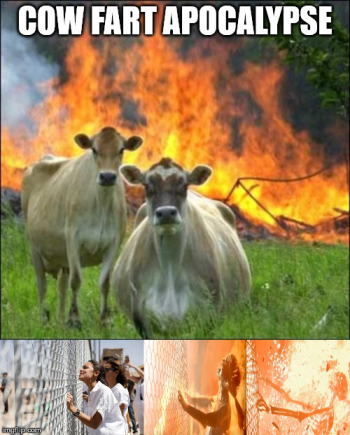 1686546408327.png
