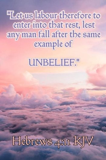 FB_IMG_1688500860662.jpg