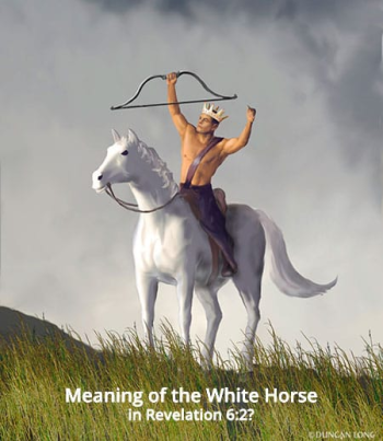 1689029294267.png