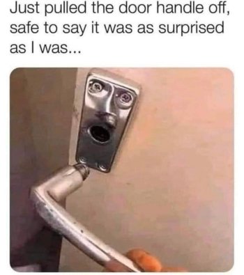 1689285643457.jpeg