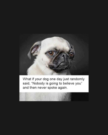 1690518478584.png