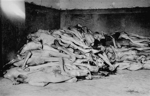 death camp photos.jpg