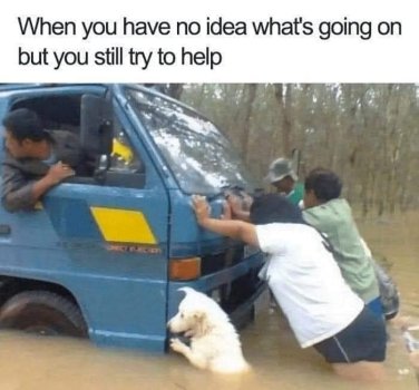1692203349791.jpeg