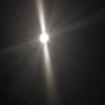 1693517338834.png