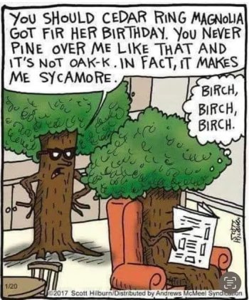 funny_pic_3.jpg