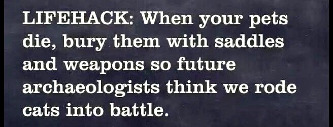 funny_pic_10.jpg