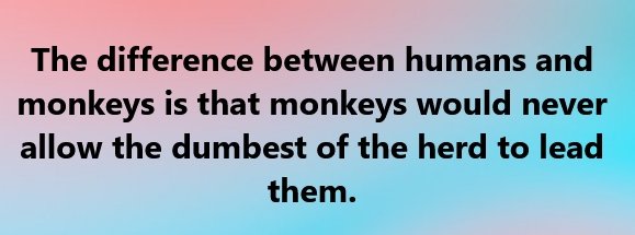 funny_pic_20.jpg