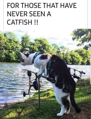 funny_pic_27.jpg
