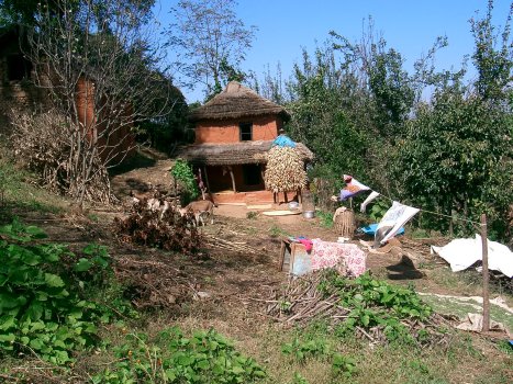 village-life---nepal_649863576_o.jpg