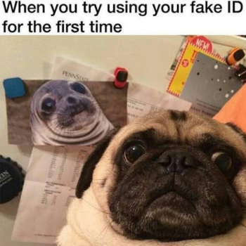 1700347938889.png
